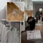 Grazalema bajo alerta: agua brota de paredes y enchufes mientras el ejército interviene por lluvias históricas